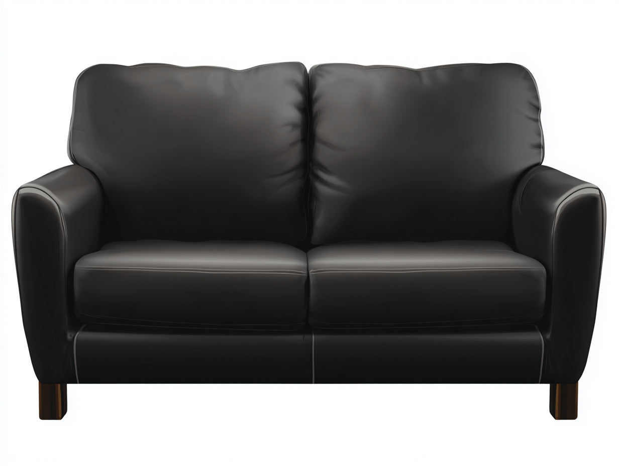 Sofás 2 plazas de cuero sintético 150x85x88 cm - negro - diseño clásico para salón
